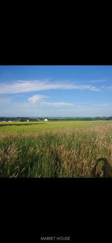 Działka Sprzedaż Szczecin Skolwin Inwalidzka 1