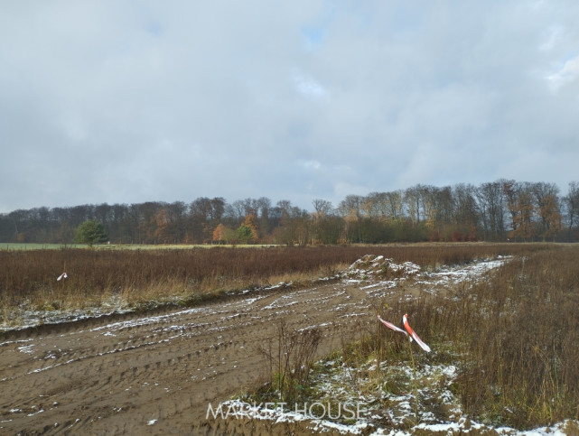 Działka Sprzedaż Dobropole Gryfińskie 5