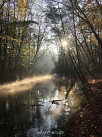 Dom Sprzedaż Szczecin Jezierzyce
