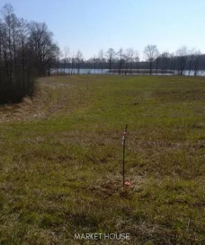 Działka Sprzedaż Kaszewo