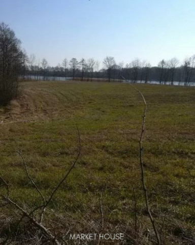 Działka Sprzedaż Kaszewo 4