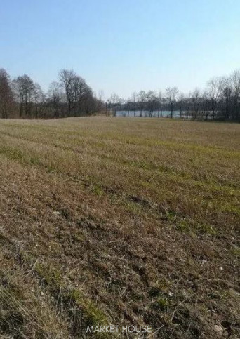 Działka Sprzedaż Kaszewo 3