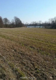 Działka Sprzedaż Kaszewo