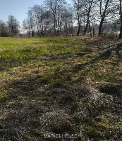 Działka Sprzedaż Kaszewo 6