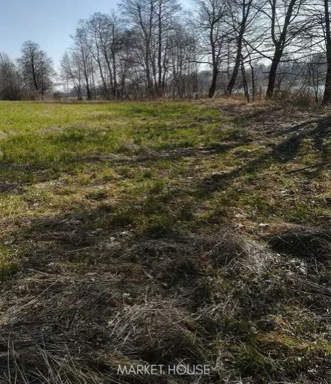 Działka Sprzedaż Kaszewo