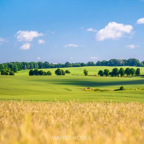 Działka Sprzedaż Przemocze 2