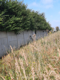 Działka Sprzedaż Kurów Na Klifie