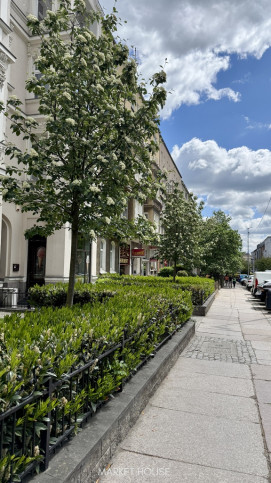 Mieszkanie Sprzedaż Szczecin Centrum Monte Cassino 1