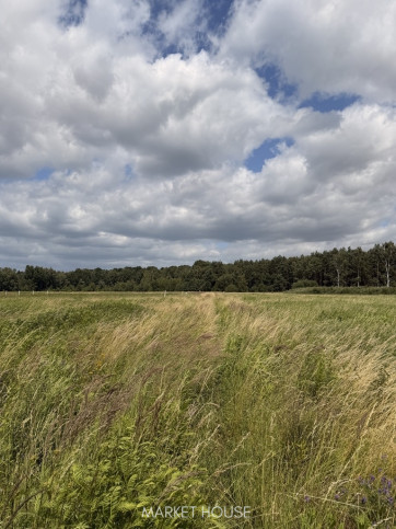 Działka Sprzedaż Niedźwiedź 6