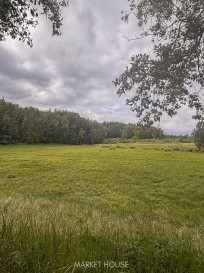 Działka Sprzedaż Piaseczno