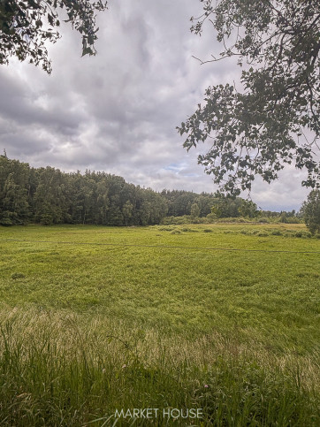 Działka Sprzedaż Piaseczno 9