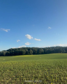 Działka Sprzedaż Buk