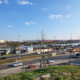 Mieszkanie Wynajem Szczecin Śródmieście Szarotki