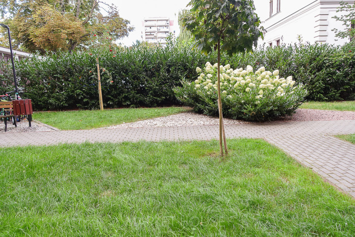 Mieszkanie Sprzedaż Szczecin Śródmieście-Centrum al.&nbsp;Wyzwolenia 22