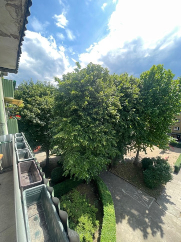 Mieszkanie Wynajem Szczecin Centrum Jana i Jędrzeja Śniadeckich 14
