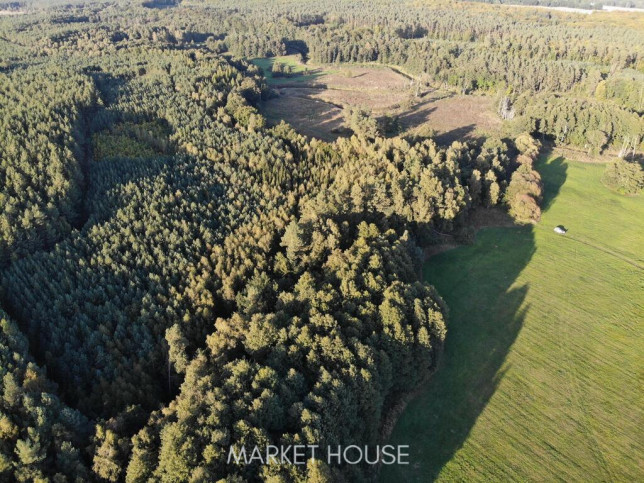 Działka Sprzedaż Goleniów 6