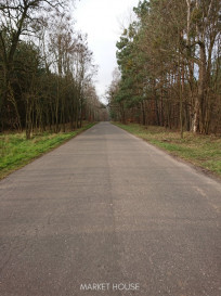 Działka Sprzedaż Starzyce