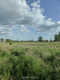 Działka Sprzedaż Czarna Łąka