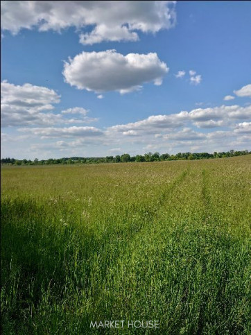 Działka Sprzedaż Dolina 2