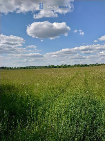 Działka Sprzedaż Dolina 2