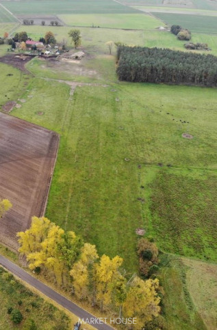 Działka Sprzedaż Borzysławiec 2