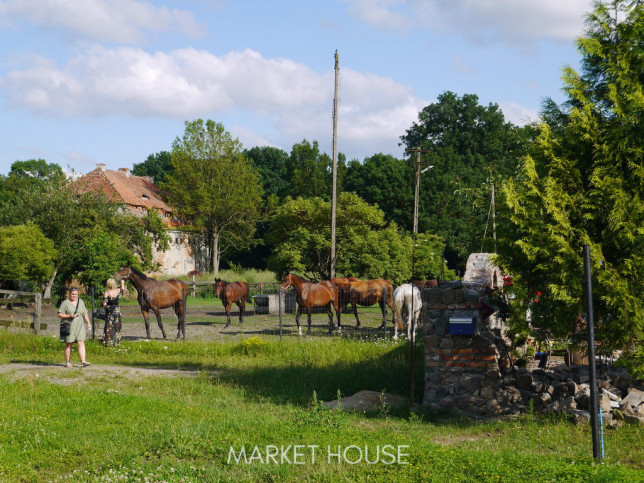 Obiekt Sprzedaż Sulimierz 23