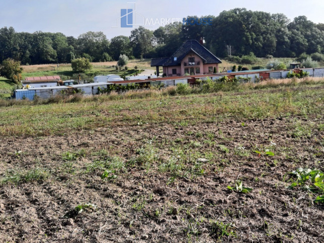 Działka Sprzedaż Kurów Na Klifie 10