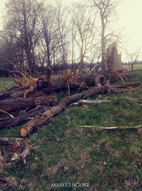Działka Sprzedaż Łęgi
