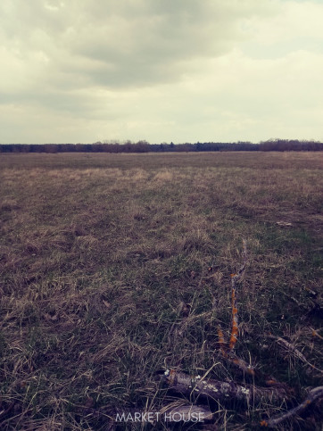 Działka Sprzedaż Łęgi 2