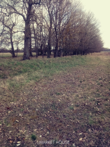 Działka Sprzedaż Łęgi 3