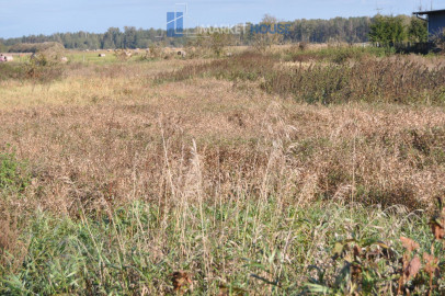 Działka Sprzedaż Wielbark