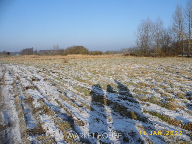 Działka Sprzedaż Brzózki 2