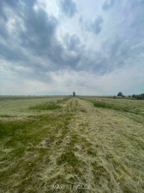 Działka Sprzedaż Wierzbno