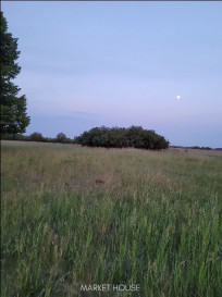 Działka Sprzedaż Lubczyna