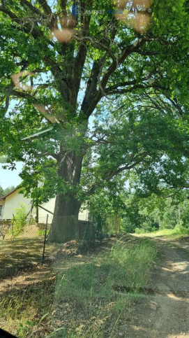 Działka Sprzedaż Stare Osieczno 5