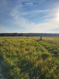 Działka Sprzedaż Białuń