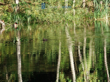 Działka Sprzedaż Bartoszewo