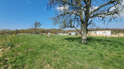 Działka Sprzedaż Szczecin Skolwin