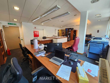 Lokal Wynajem Szczecin Centrum