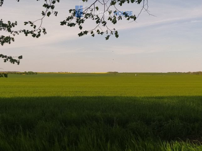 Działka Sprzedaż Bielkowo Sadowa 1