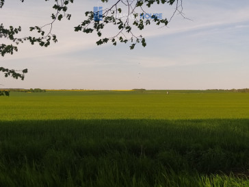 Działka Sprzedaż Bielkowo Sadowa