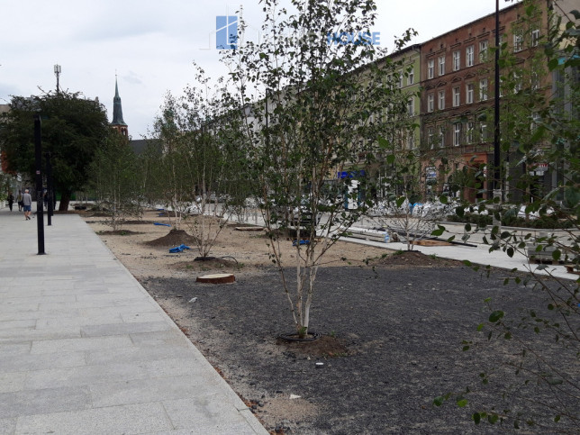 Lokal Wynajem Szczecin Centrum al. Wojska Polskiego 17