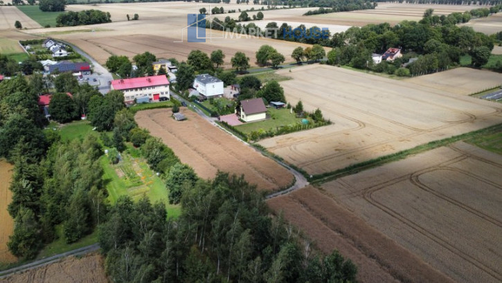 Działka Sprzedaż Warnice 1