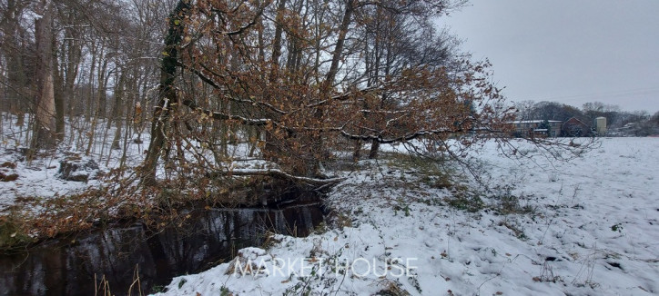 Działka Sprzedaż Budzieszowce 4