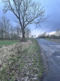 Działka Sprzedaż Ryszewko