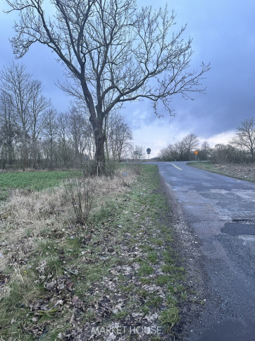 Działka Sprzedaż Ryszewko 6