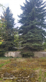 Obiekt Sprzedaż Recz Kolejowa