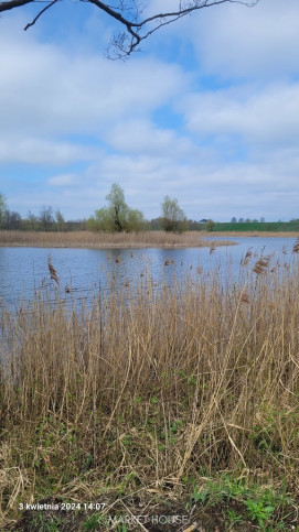 Działka Sprzedaż Zieleniewo 1