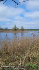 Działka Sprzedaż Zieleniewo
