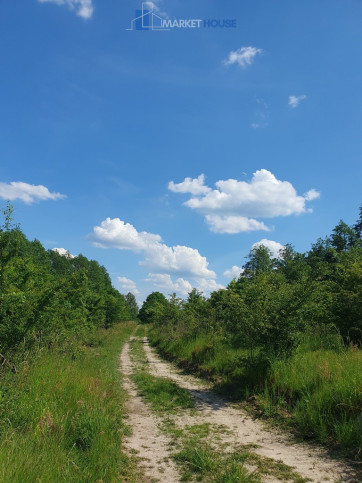 Działka Sprzedaż Zieleniewo 4